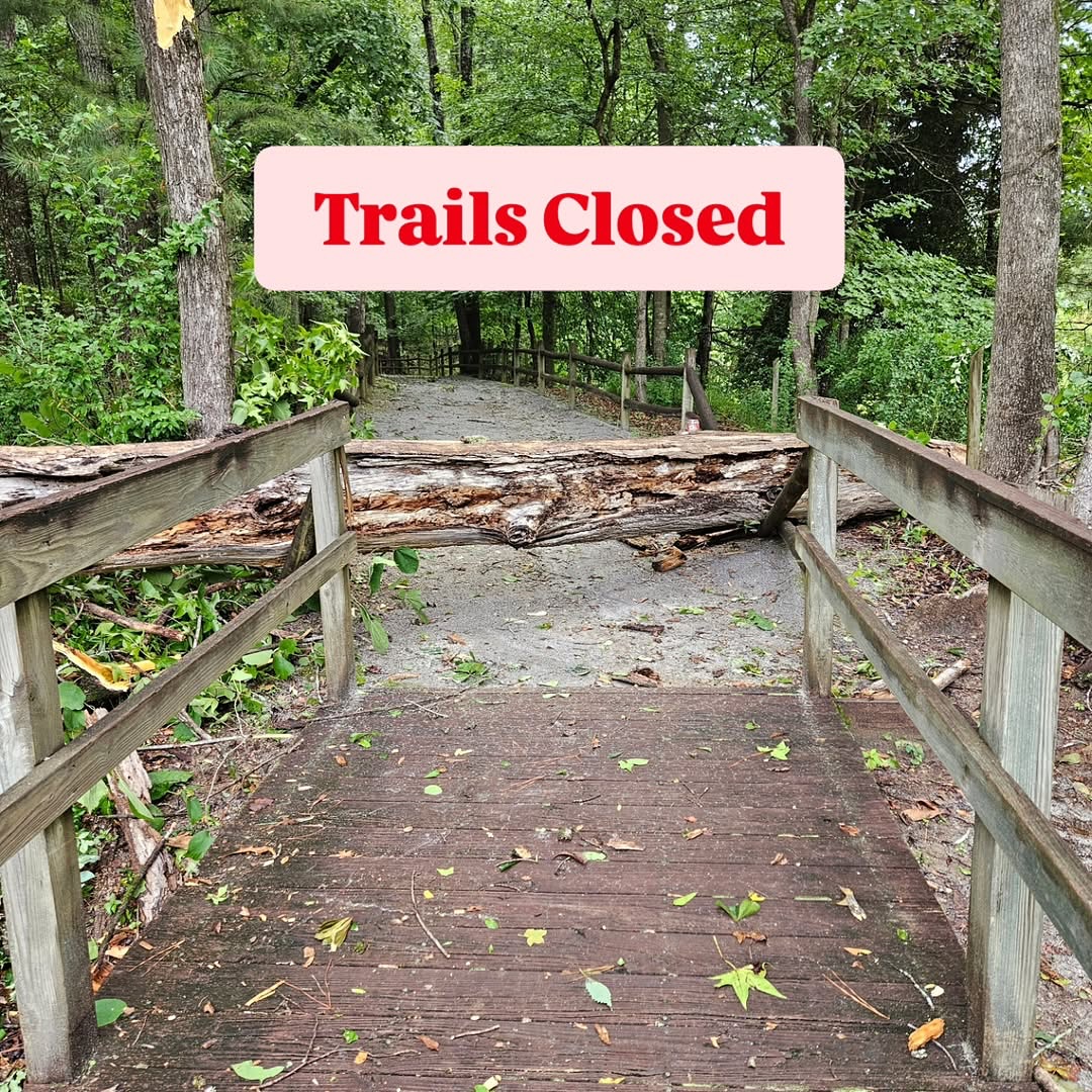 Due to last night’s storm, a tree has fallen on to the trails at the @newmanwetlandscenter.
Did it make a sound and did anyone around to hear it? Who knows.
They are closing the trails temporarily for clean up.
#forestparkga #claytoncountyga #seeclaytoncountyga #dineinclayco #southsideatl #atlantaga #explorepage #exploregeorgia #claytoncounty #jonesboroga #rexga #lovejoyga #riverdalega #morrowga #lakecityga #travelblogger #travelvlog #cummingga #augustaga #maconga #carrolltonga
