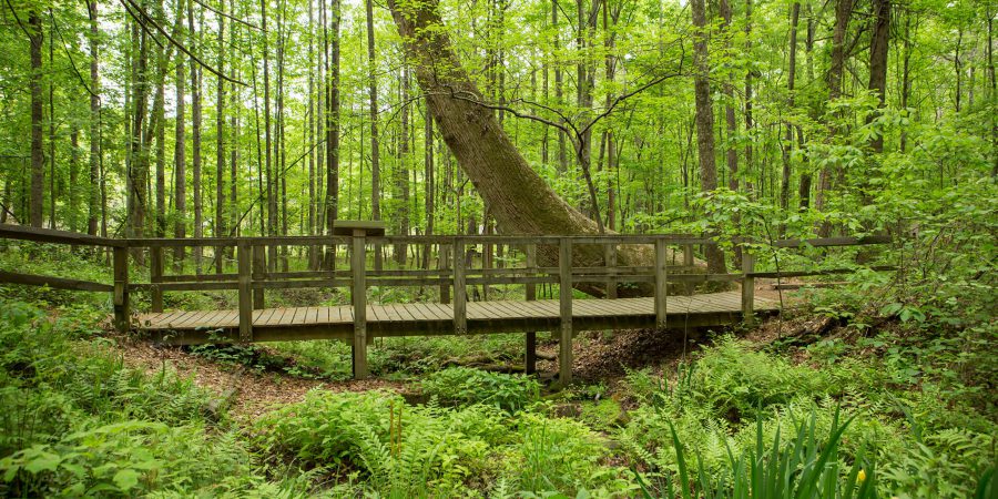 a wooden bridge at Reynolds Nature Preserve