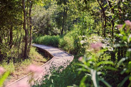 nature path